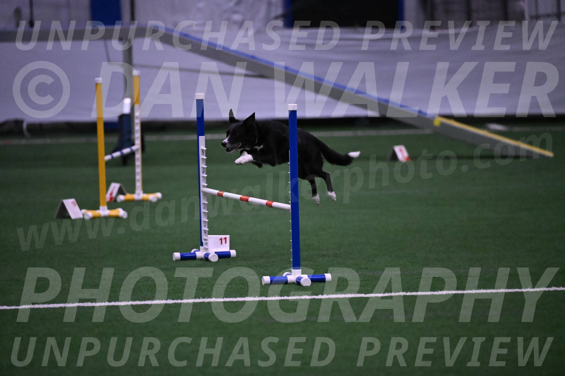 Lizzy-clark-Hollada-00187