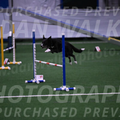 Lizzy-clark-Hollada-00187