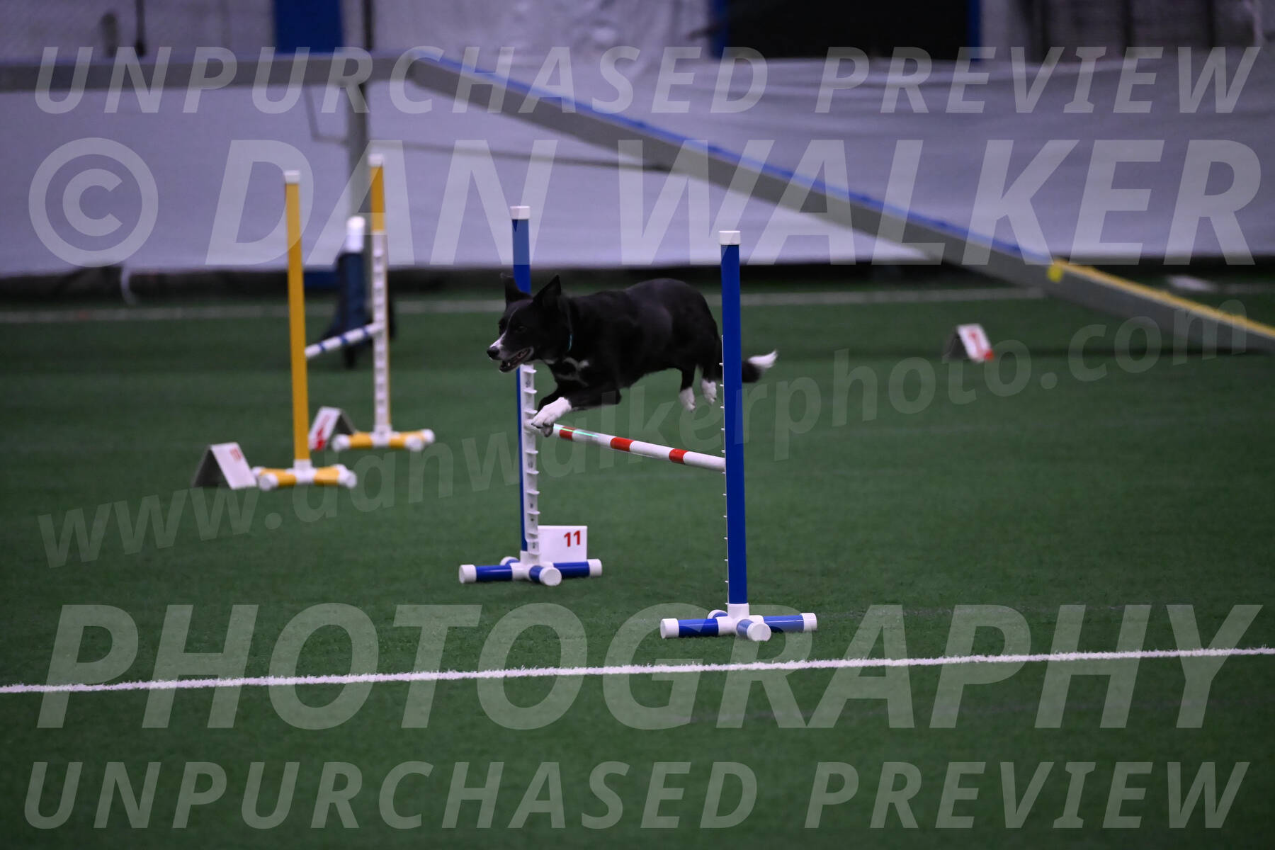 Lizzy-clark-Hollada-00188