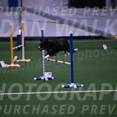 Lizzy-clark-Hollada-00188