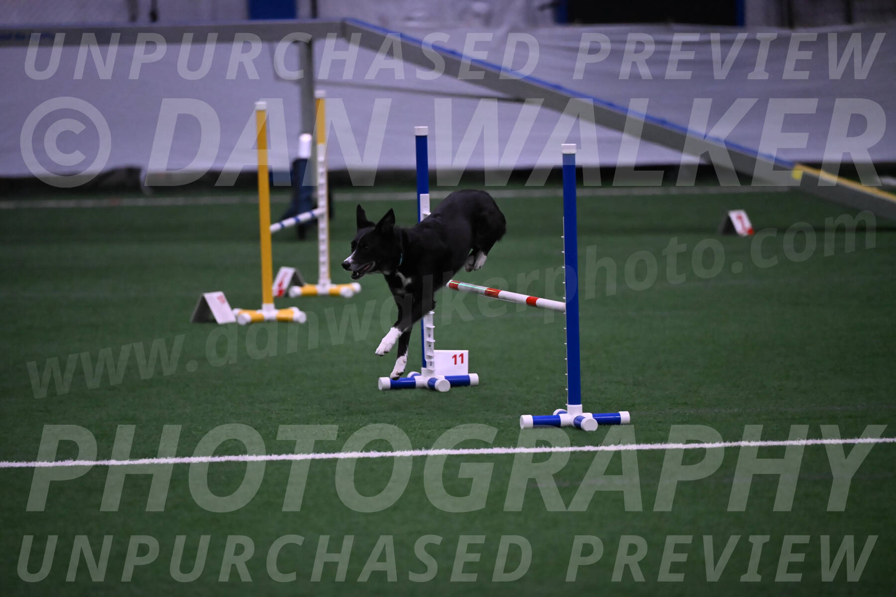 Lizzy-clark-Hollada-00189