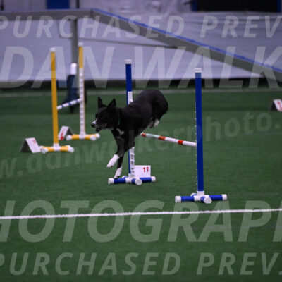 Lizzy-clark-Hollada-00189