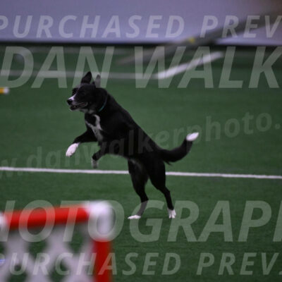 Lizzy-clark-Hollada-00191