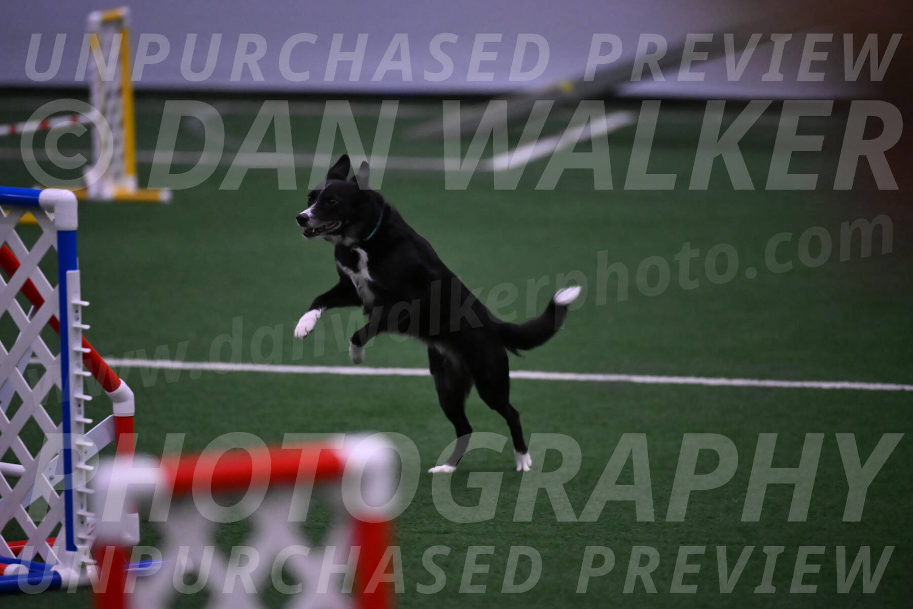 Lizzy-clark-Hollada-00191