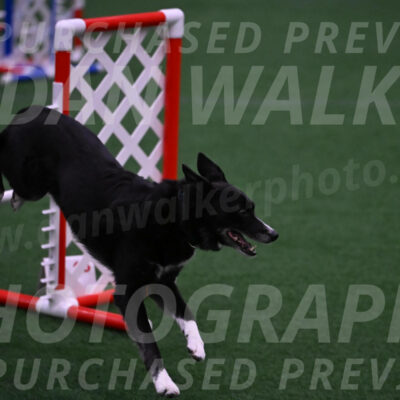 Lizzy-clark-Hollada-00203