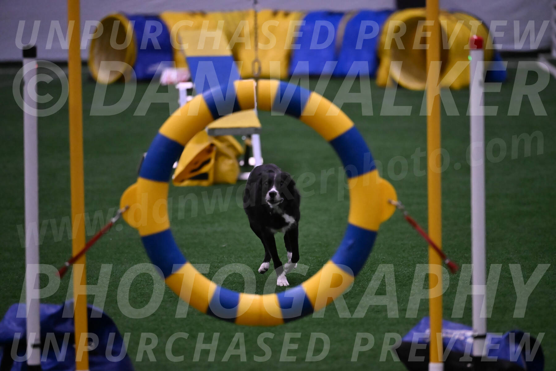 Lizzy-clark-Hollada-00204