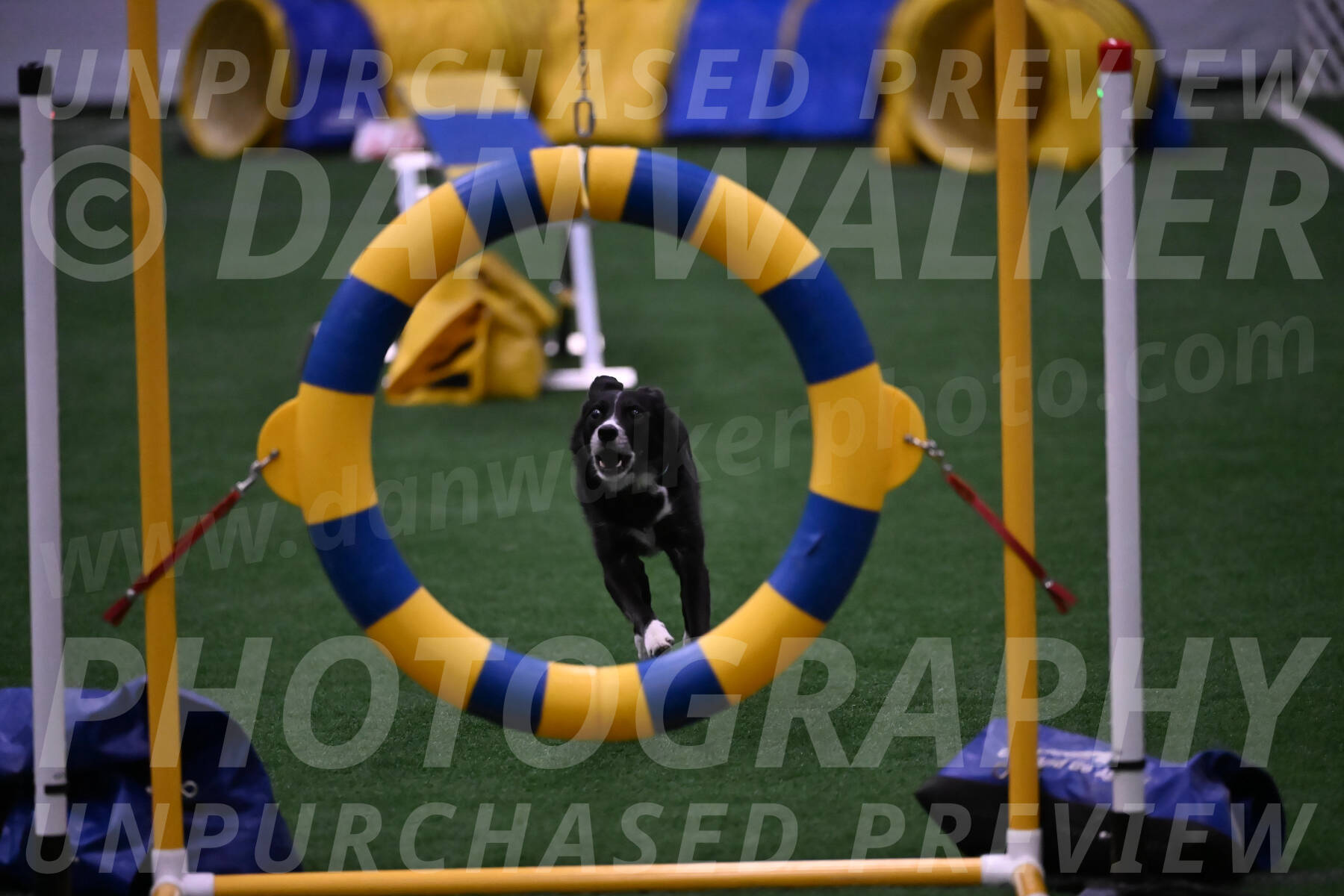 Lizzy-clark-Hollada-00207