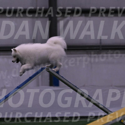 Loki-Mark-Majidzadeh-05347