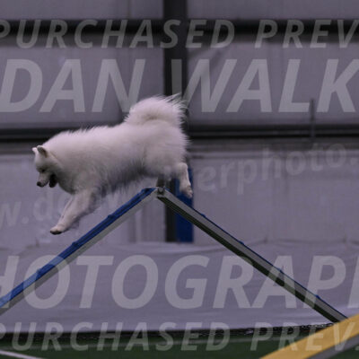Loki-Mark-Majidzadeh-05348