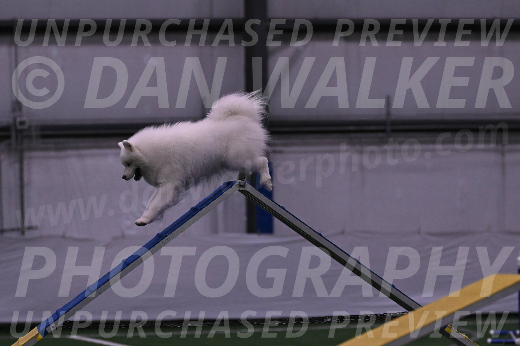 Loki-Mark-Majidzadeh-05348