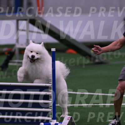 Loki-Mark-Majidzadeh-05359