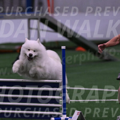 Loki-Mark-Majidzadeh-05360