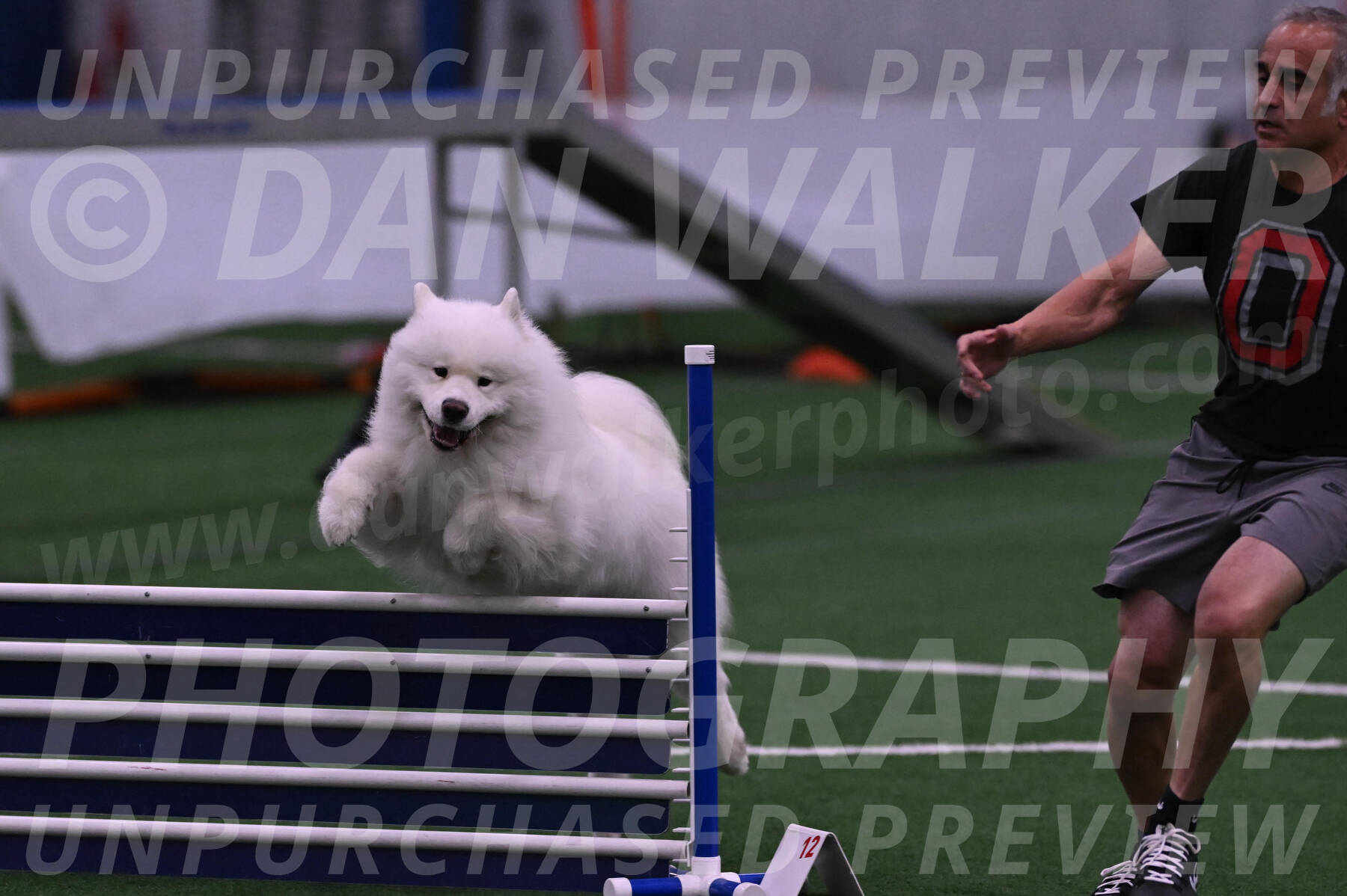 Loki-Mark-Majidzadeh-05360