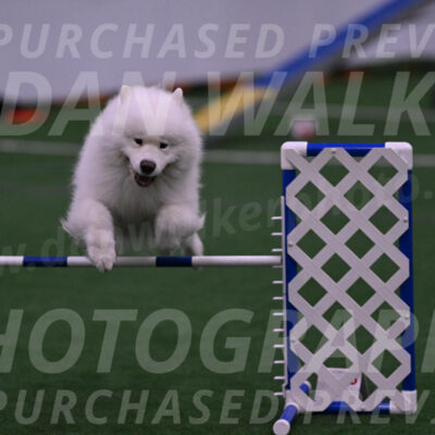 Loki-Mark-Majidzadeh-05366