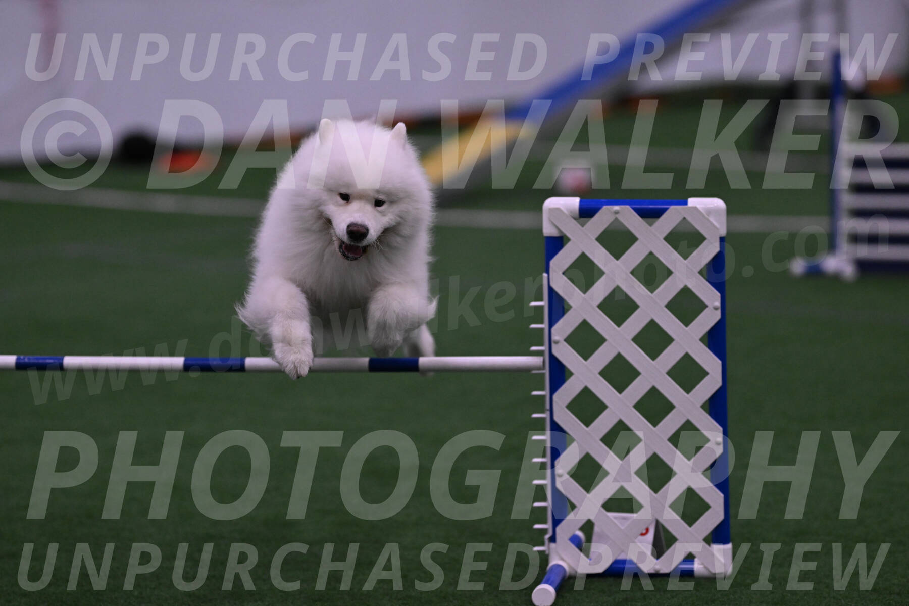 Loki-Mark-Majidzadeh-05366