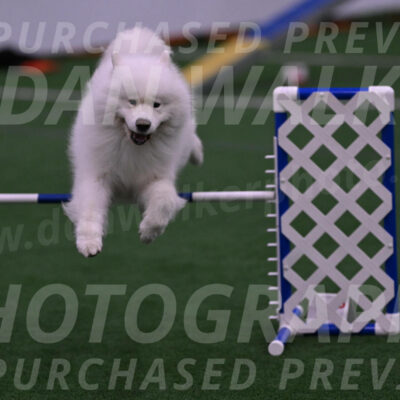 Loki-Mark-Majidzadeh-05367