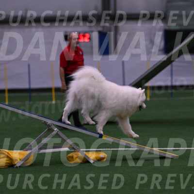 Loki-Mark-Majidzadeh-05377