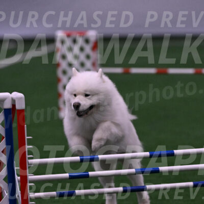 Loki-Mark-Majidzadeh-05391