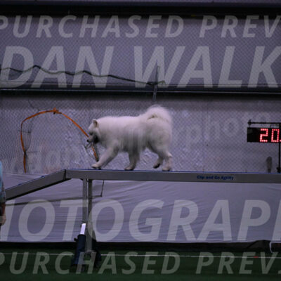 Loki-Mark-Majidzadeh-05396