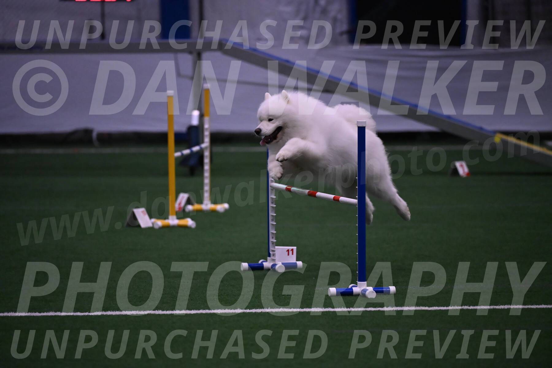 Loki-Mark-Majidzadeh-05400
