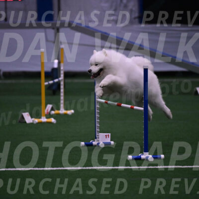 Loki-Mark-Majidzadeh-05400