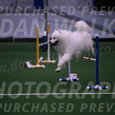 Loki-Mark-Majidzadeh-05402