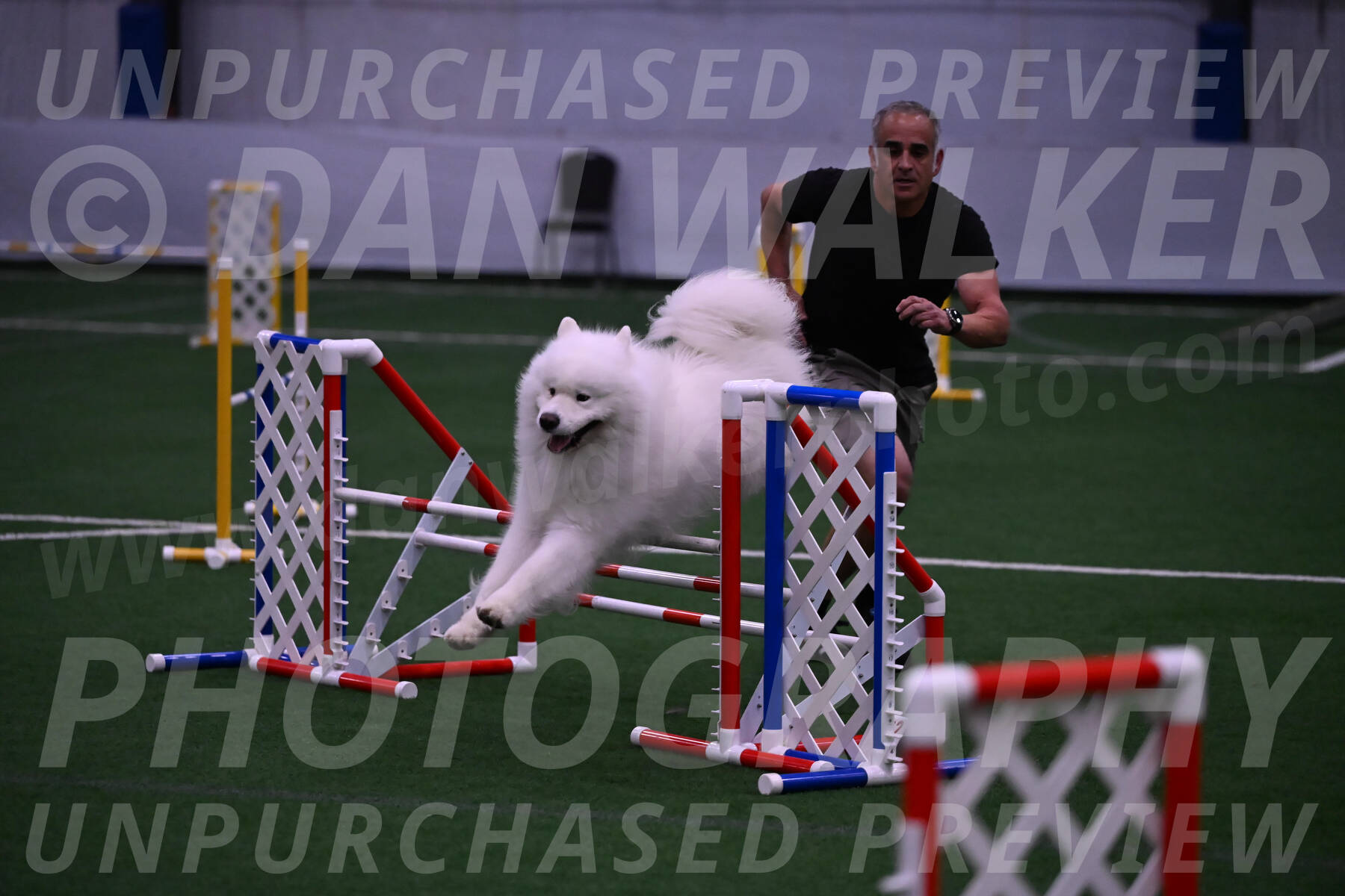 Loki-Mark-Majidzadeh-05408