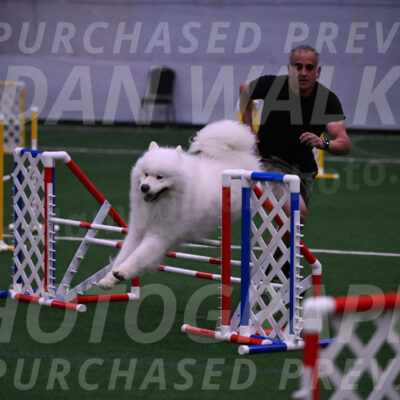 Loki-Mark-Majidzadeh-05408