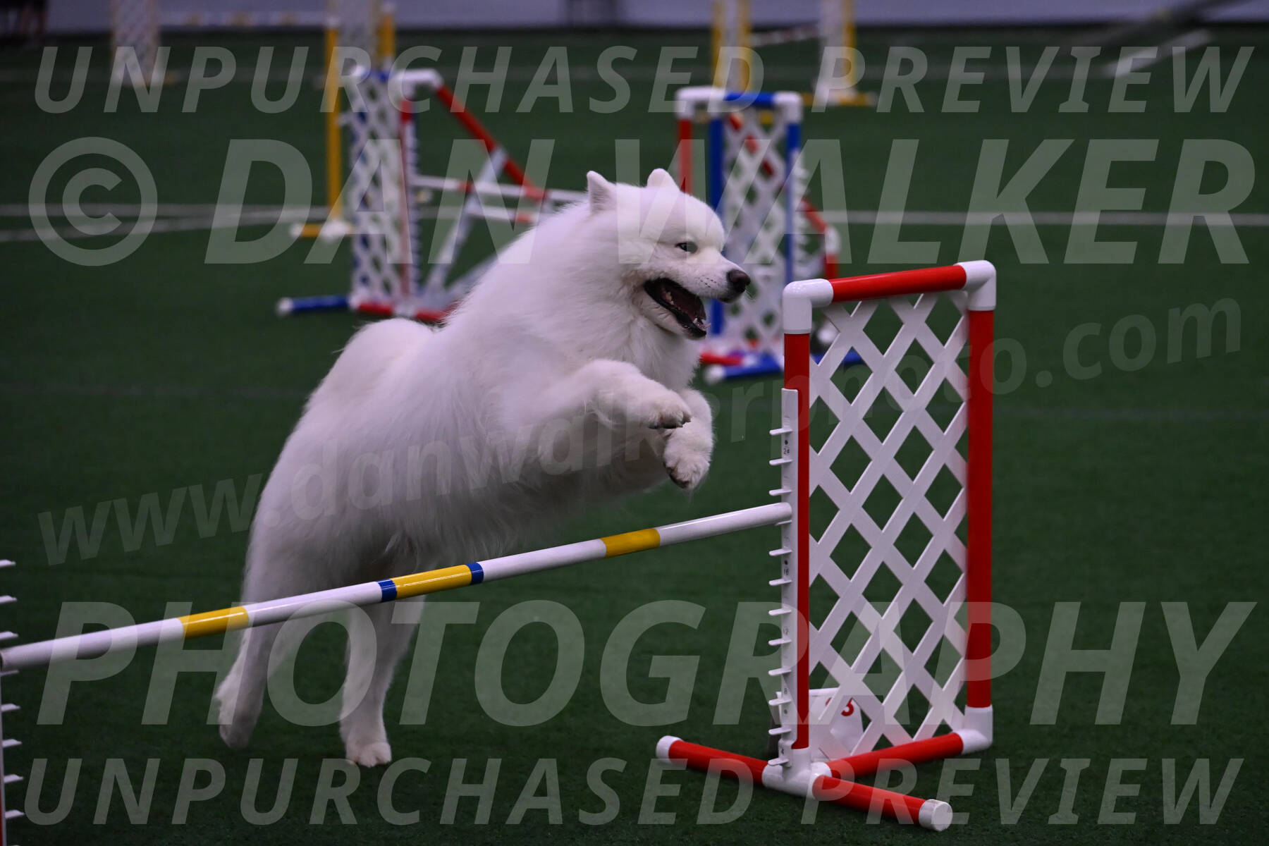 Loki-Mark-Majidzadeh-05413