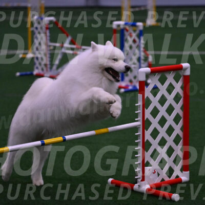 Loki-Mark-Majidzadeh-05413