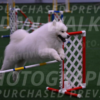 Loki-Mark-Majidzadeh-05414
