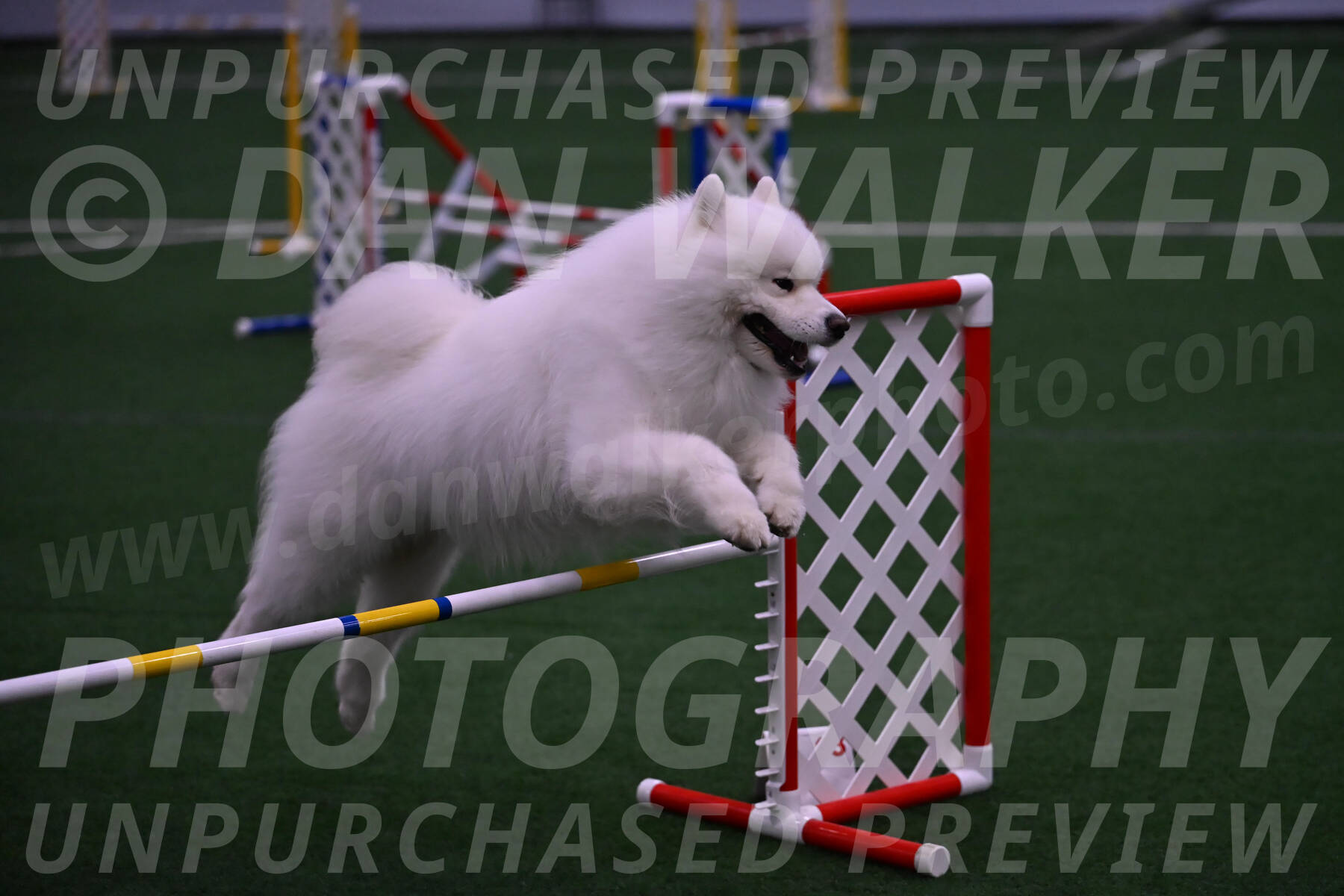 Loki-Mark-Majidzadeh-05414
