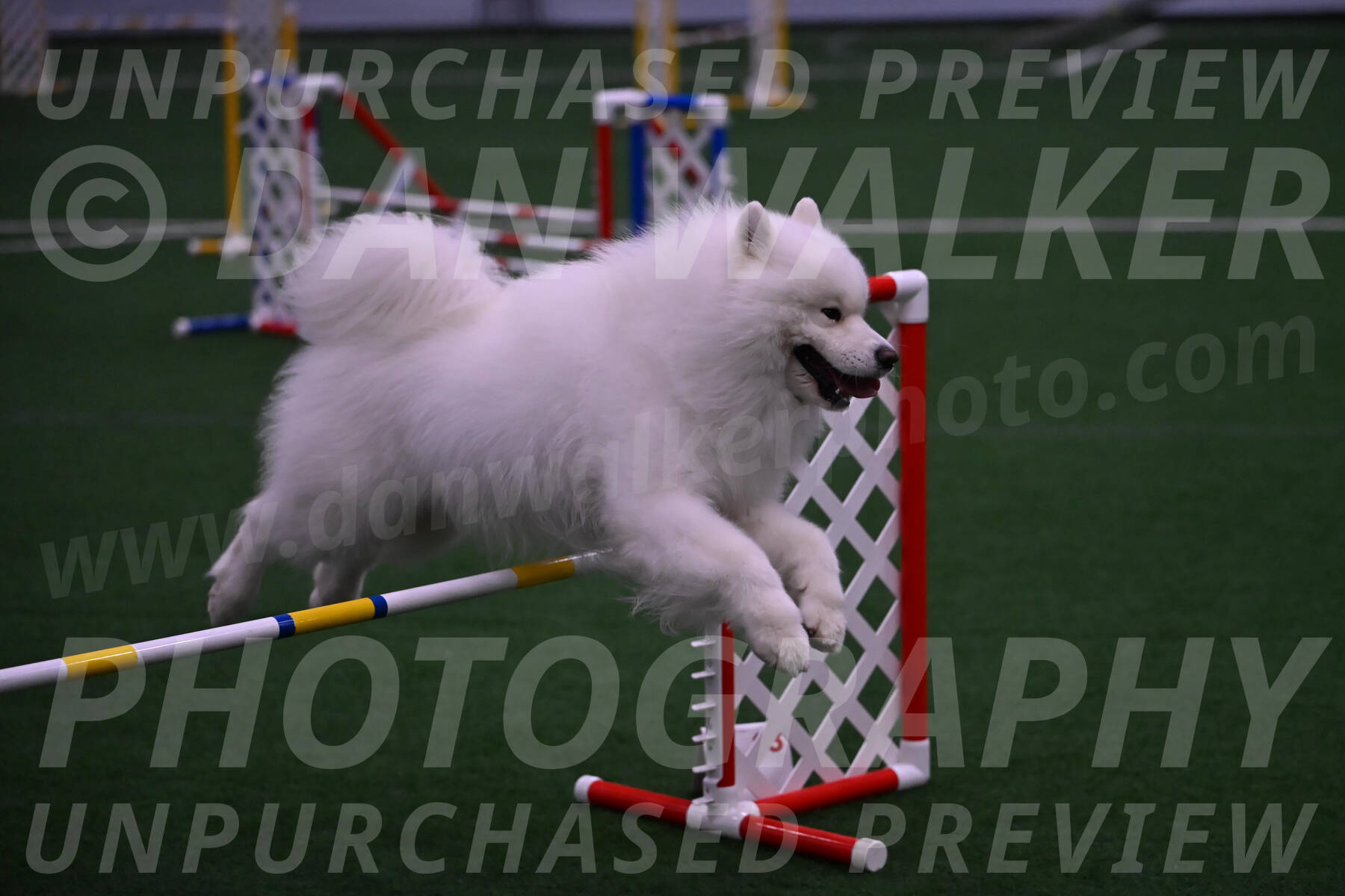Loki-Mark-Majidzadeh-05415