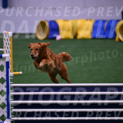 Maia-Regina-Young-09526