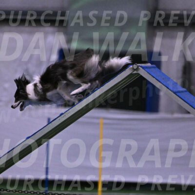 Mako-Leslie-Myers-DVM-06841
