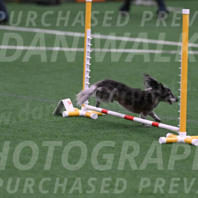 Merlin-Denise-Katona-07778