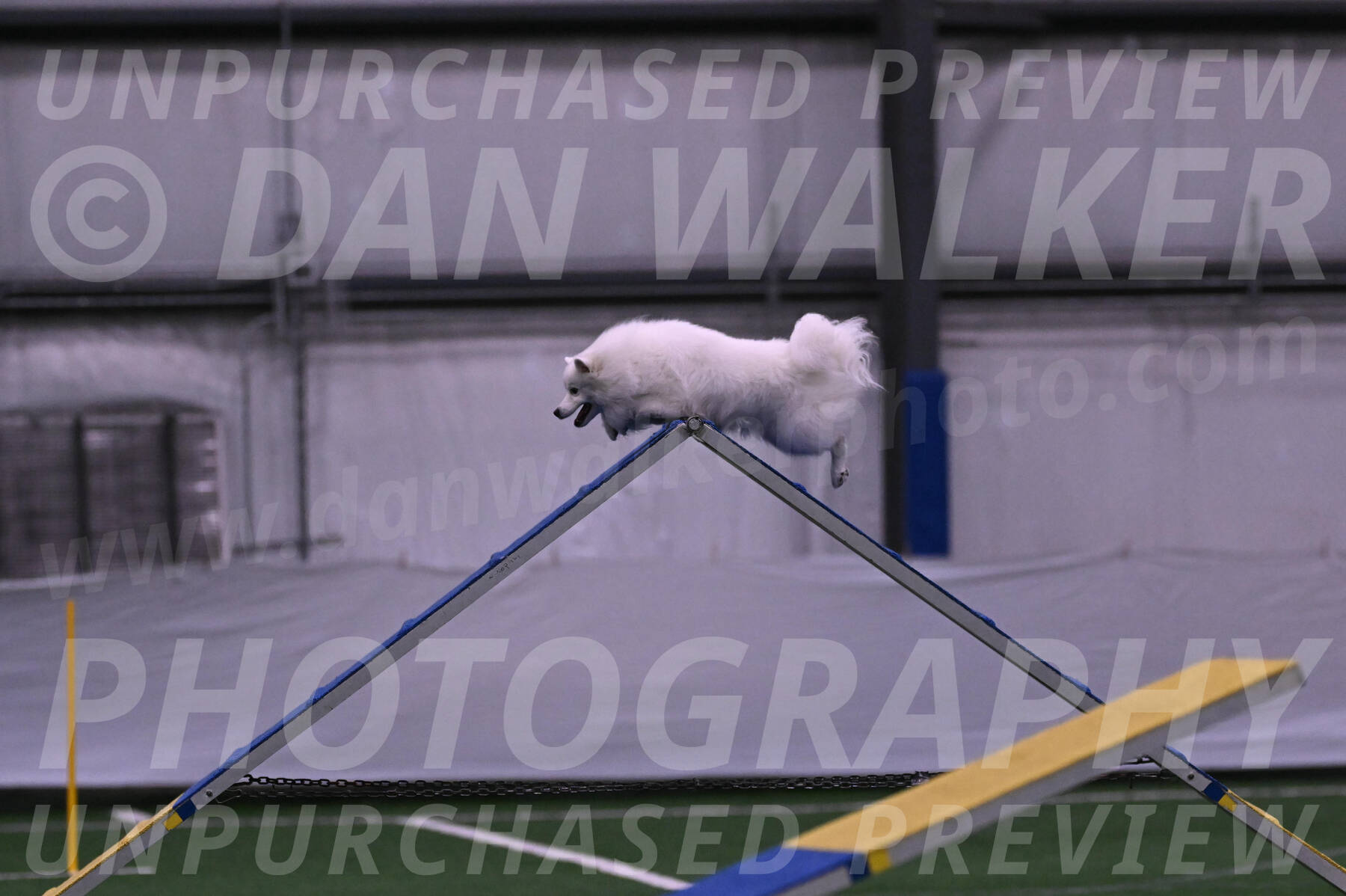 Miska-Glenn-Rawsky-12799