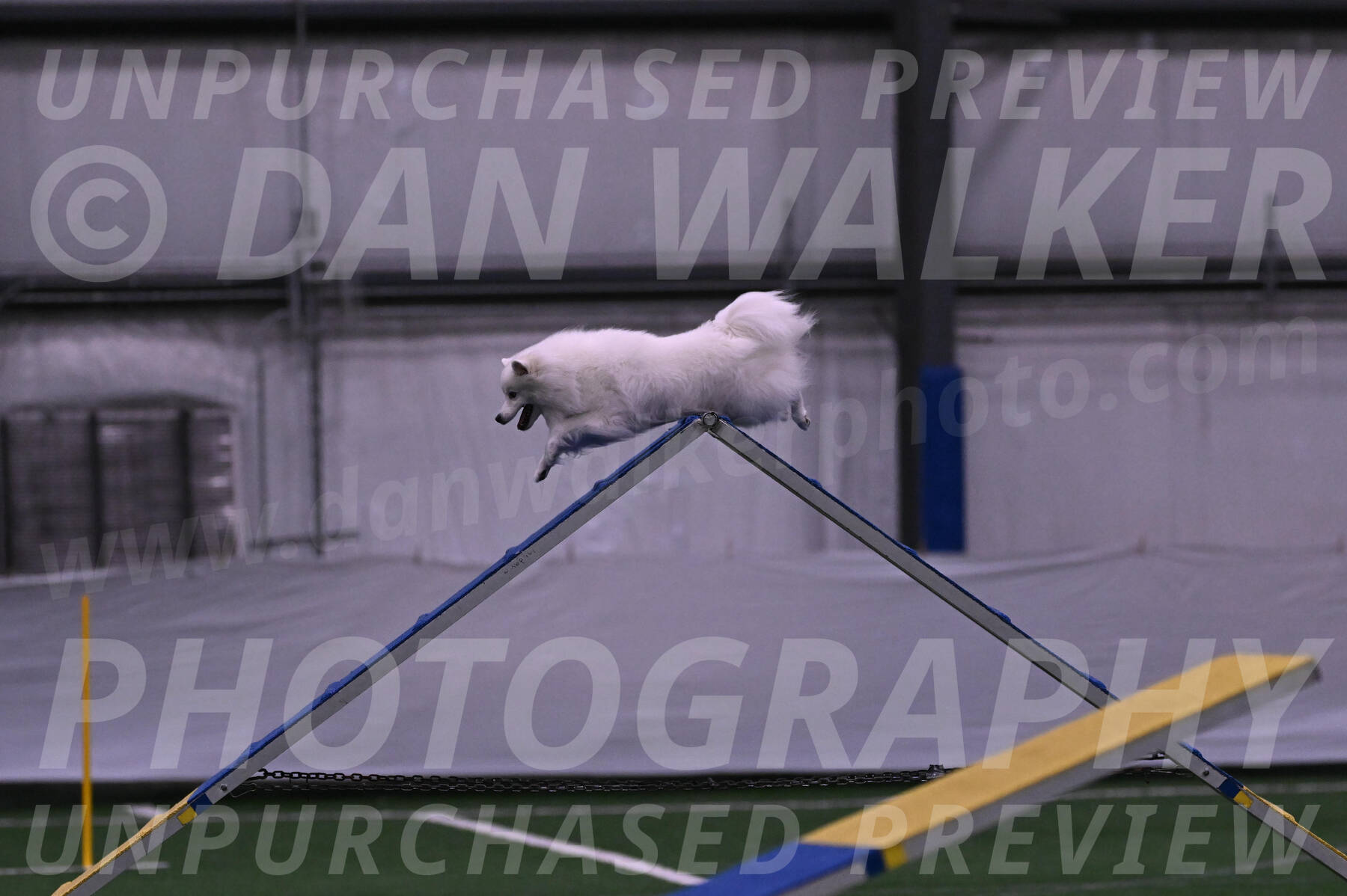 Miska-Glenn-Rawsky-12800
