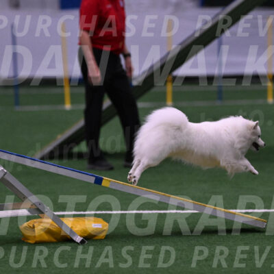 Miska-Glenn-Rawsky-12809
