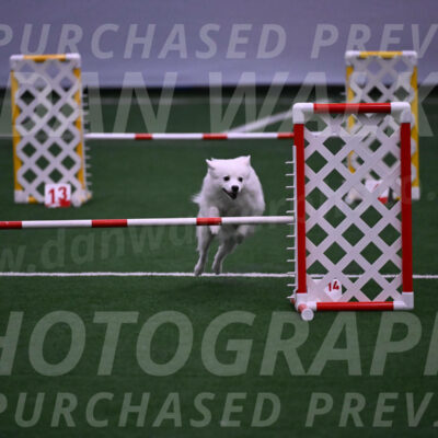 Miska-Glenn-Rawsky-12830