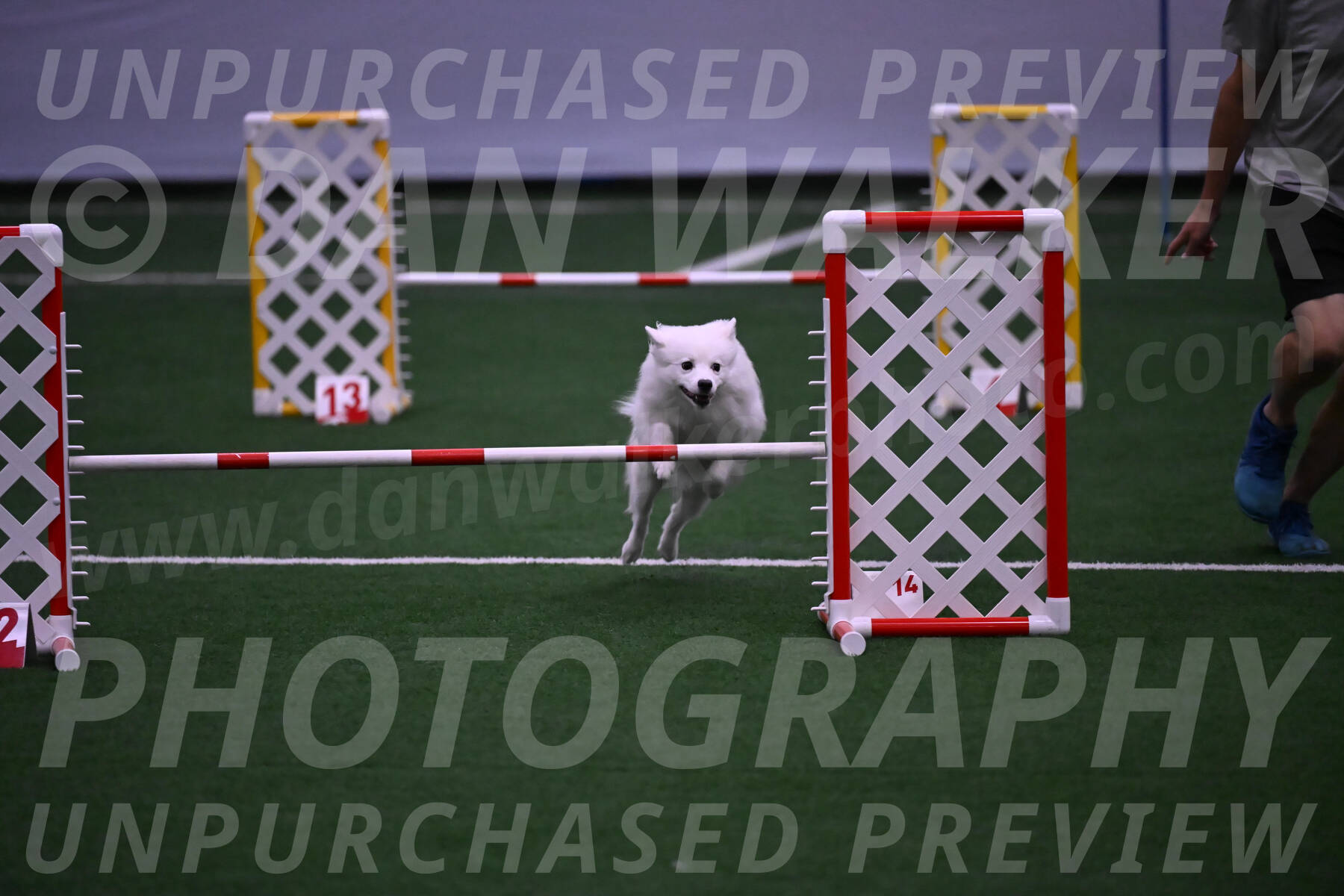 Miska-Glenn-Rawsky-12830
