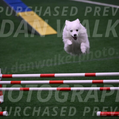 Miska-Glenn-Rawsky-12845