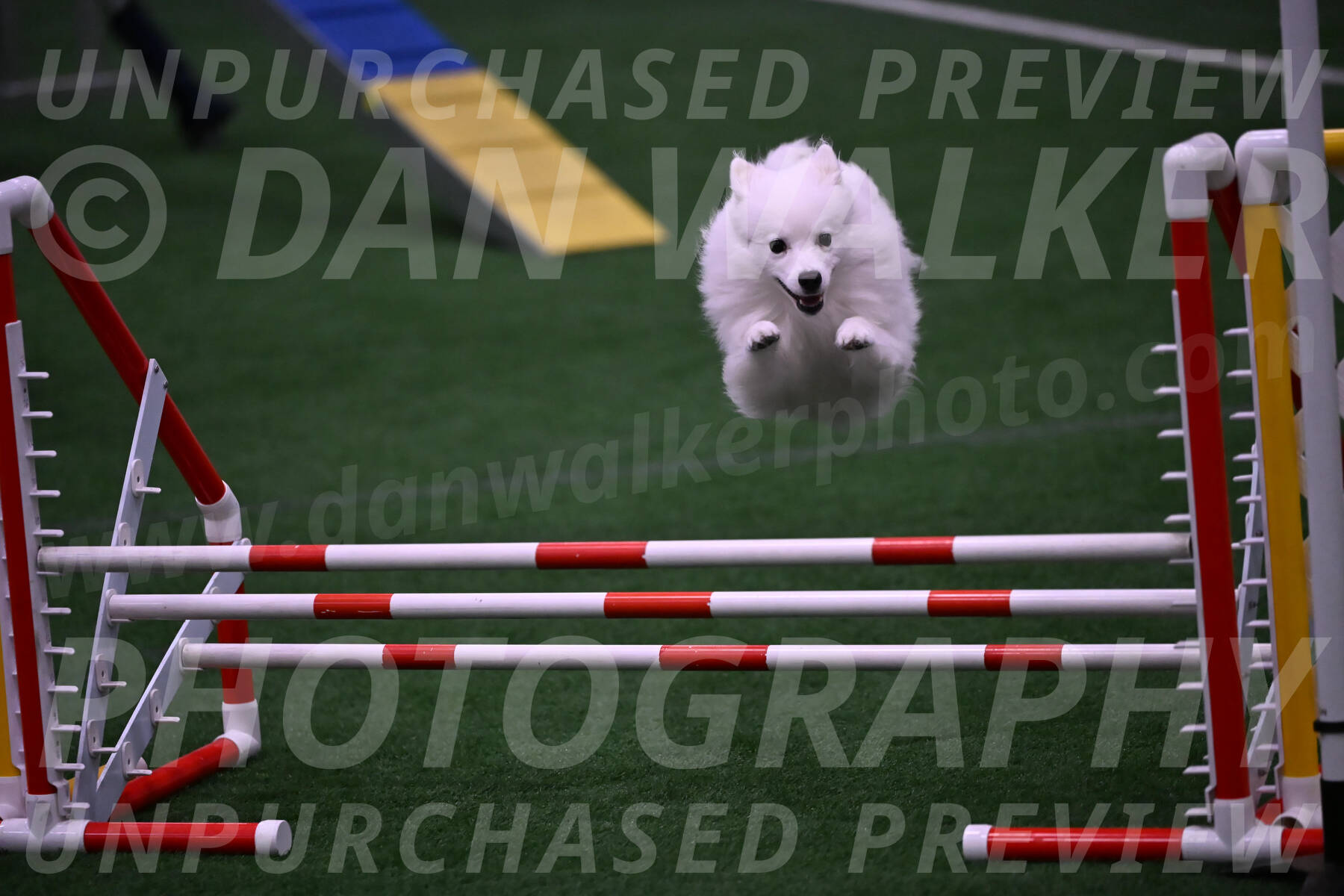 Miska-Glenn-Rawsky-12846