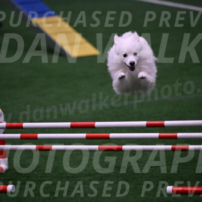 Miska-Glenn-Rawsky-12846