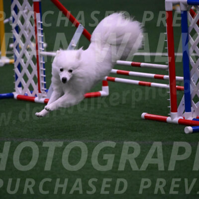 Miska-Glenn-Rawsky-12856