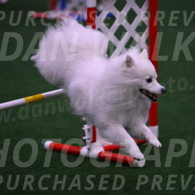 Miska-Glenn-Rawsky-12863
