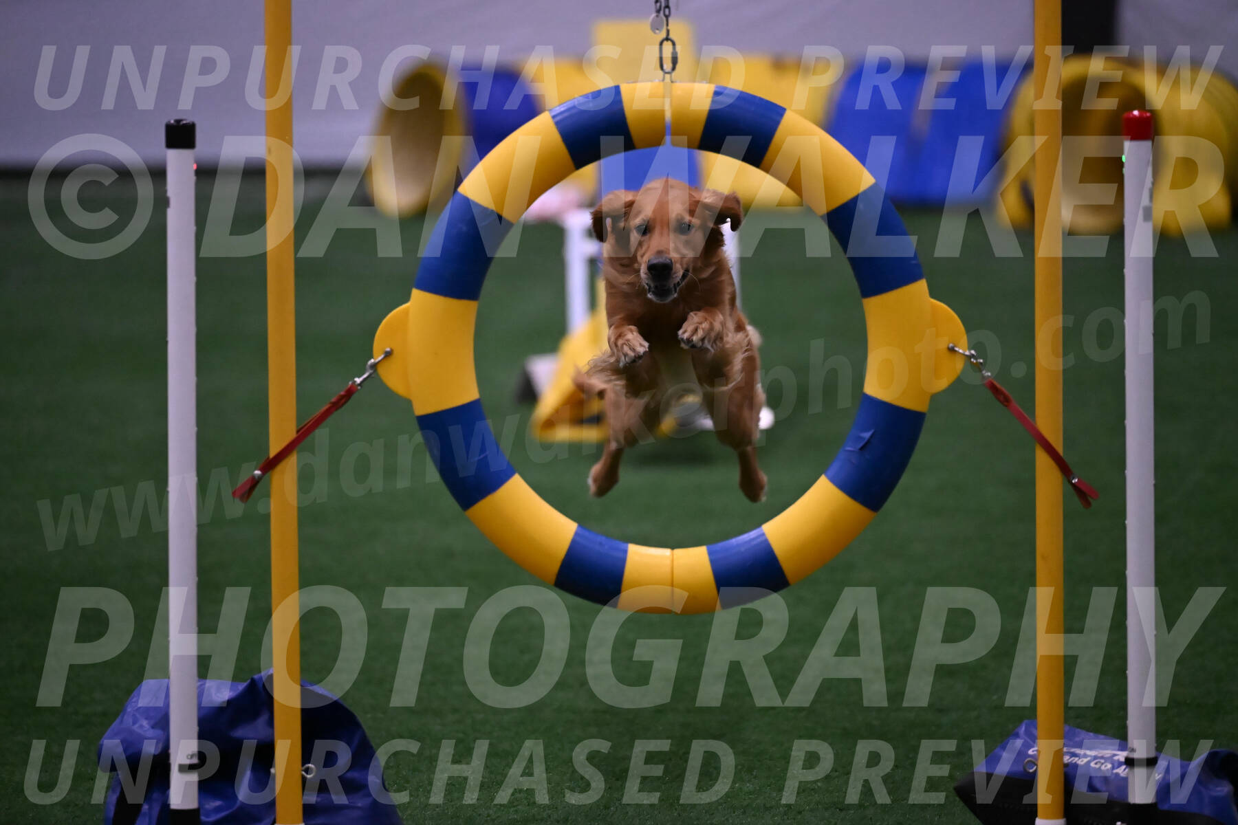 Mister-Rogers-Megan-Sapsford-03777