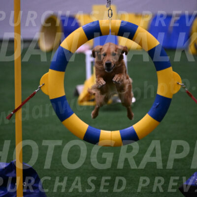 Mister-Rogers-Megan-Sapsford-03777