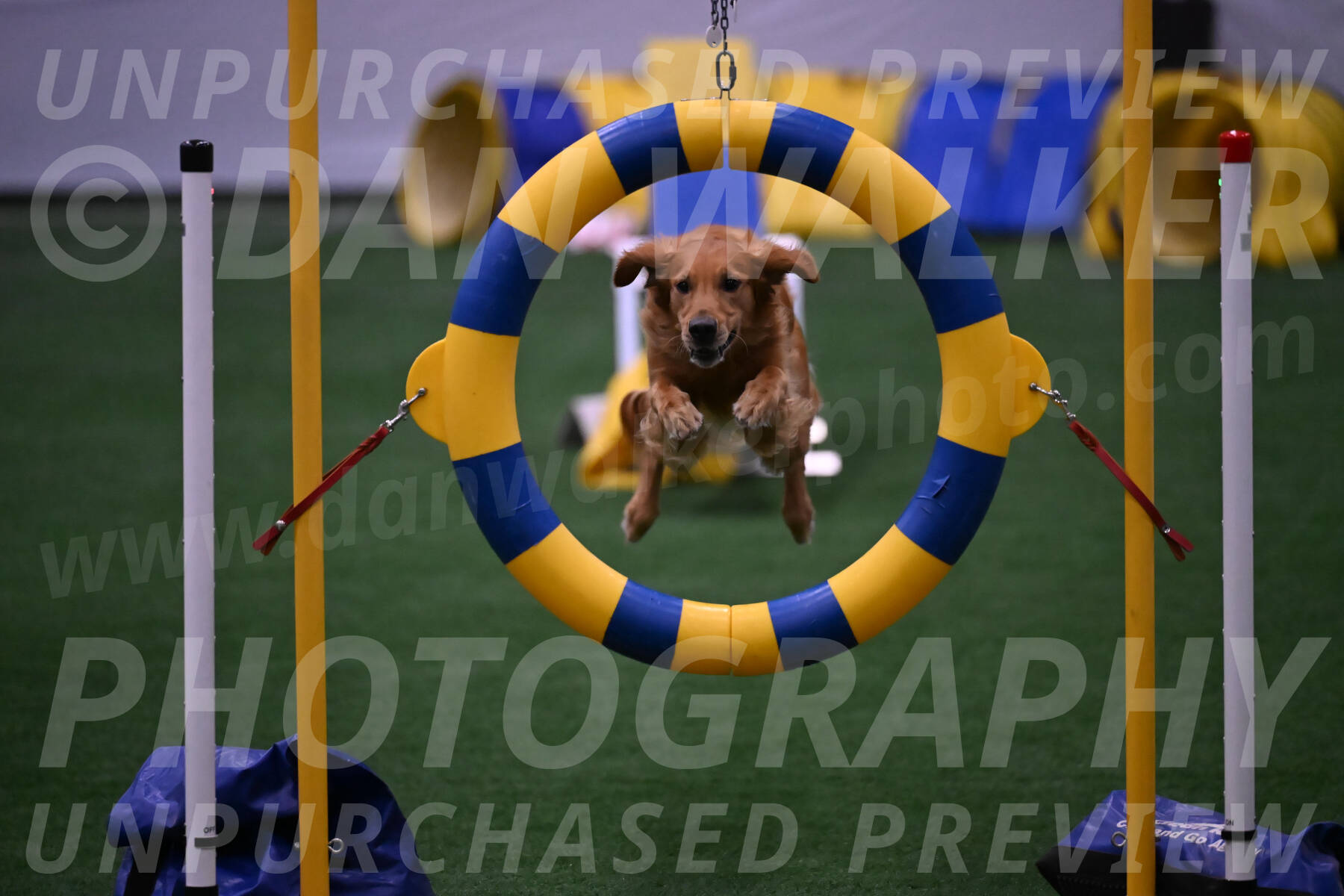 Mister-Rogers-Megan-Sapsford-03778