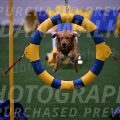 Mister-Rogers-Megan-Sapsford-03778